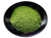 緑茶の画像